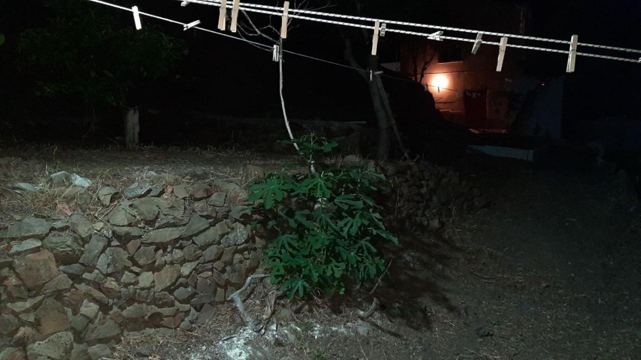 Villa Kotetsi - Rooms To Let - Volissos - Chios Eksteriør bilde
